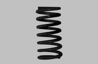 Front coil spring 