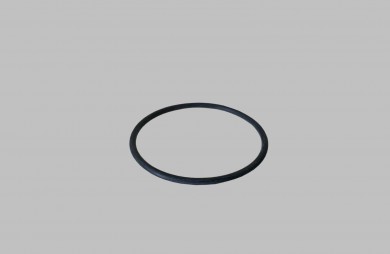Sealing ring