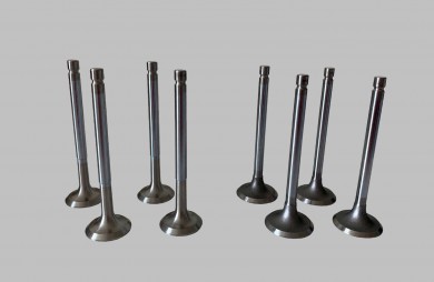 Valves set