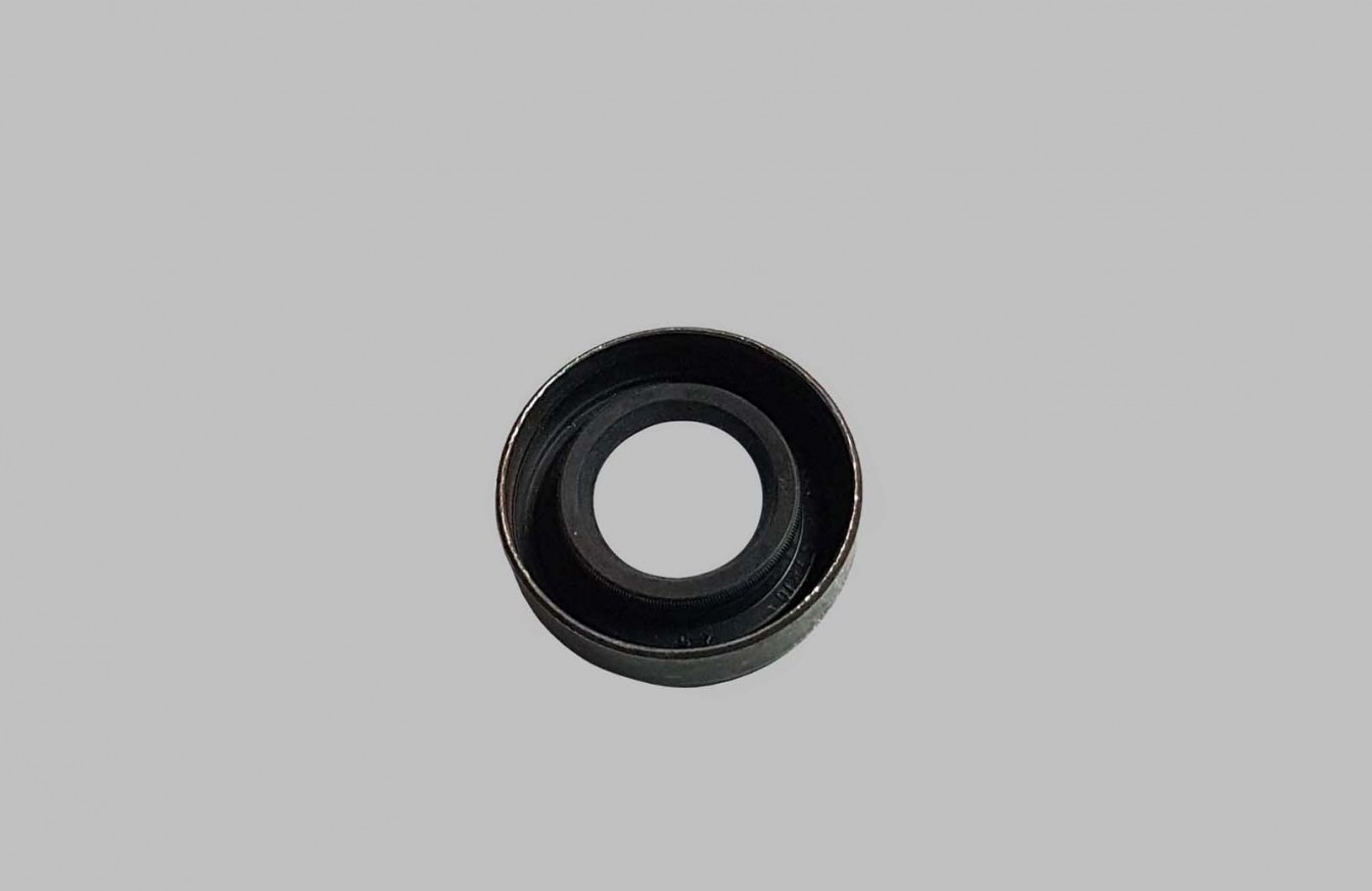 Oil seal, worm